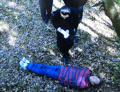 f:id:inudenchi:20200123004931j:plain