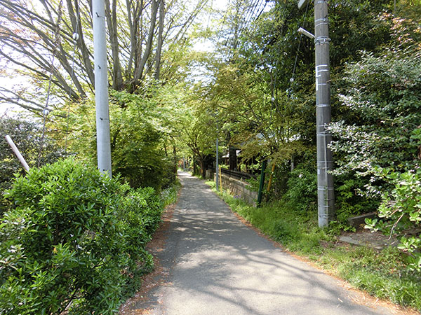 f:id:inudenchi:20200426211932j:plain