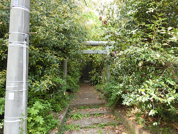 f:id:inudenchi:20200426212002j:plain