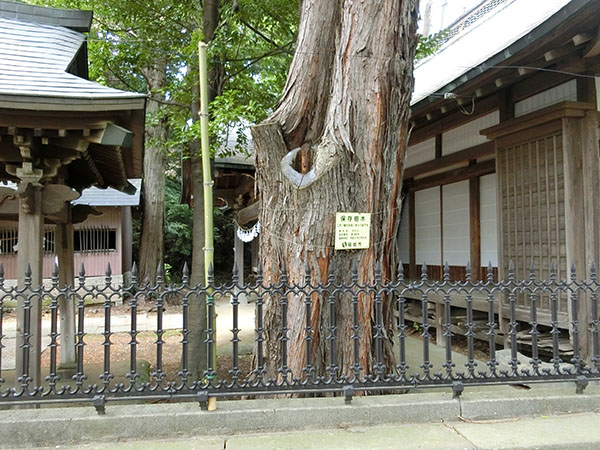 f:id:inudenchi:20200426212105j:plain