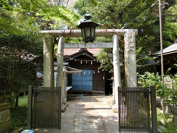 f:id:inudenchi:20200426212246j:plain