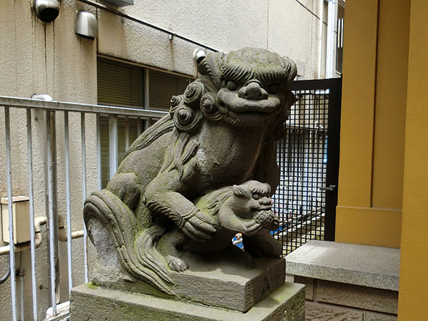 新宿秋葉神社の狛犬