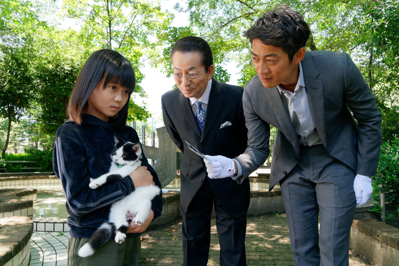 f:id:inudenchi:20200908114132j:plain