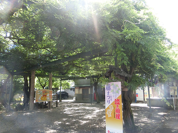 f:id:inudenchi:20200920152128j:plain