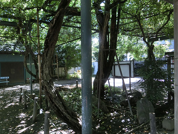 f:id:inudenchi:20200920152546j:plain