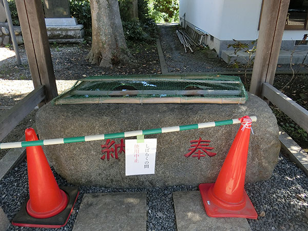 f:id:inudenchi:20201102204938j:plain