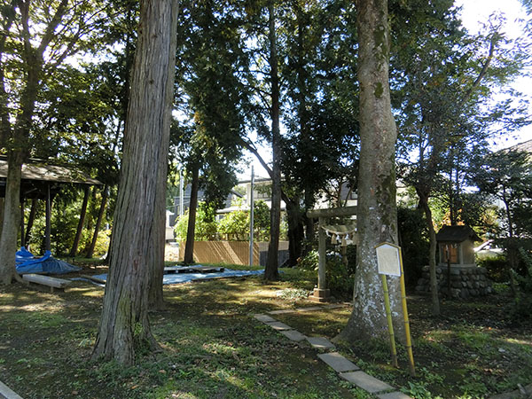 f:id:inudenchi:20201102205350j:plain