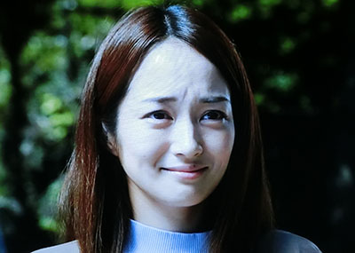 f:id:inudenchi:20201105011510j:plain