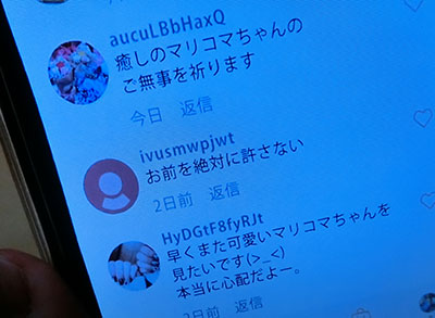 f:id:inudenchi:20201210005746j:plain