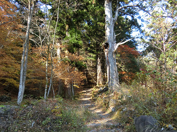 f:id:inudenchi:20201222212544j:plain