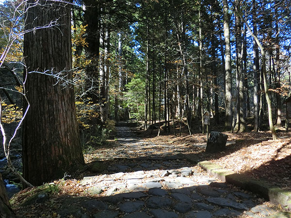 f:id:inudenchi:20210110201242j:plain