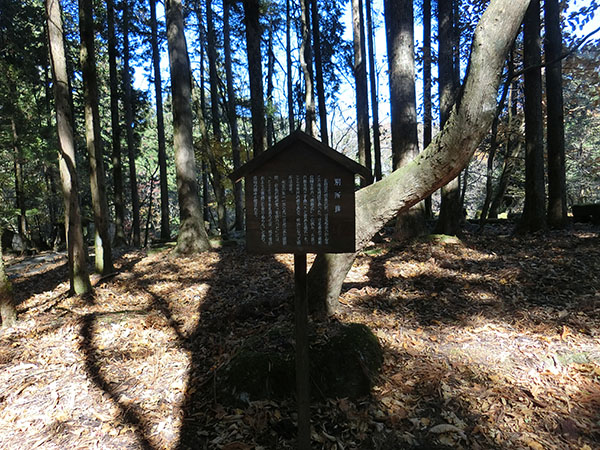 f:id:inudenchi:20210110201316j:plain