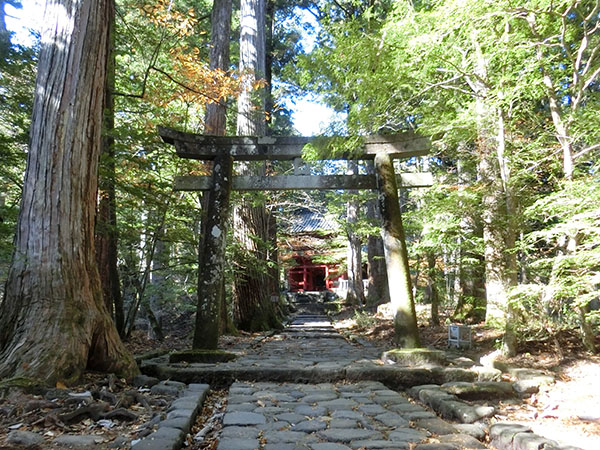 f:id:inudenchi:20210110201452j:plain