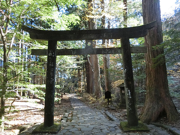 f:id:inudenchi:20210110202641j:plain