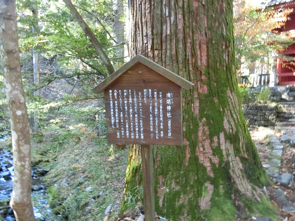 f:id:inudenchi:20210110202731j:plain