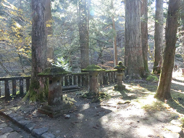 f:id:inudenchi:20210110203320j:plain