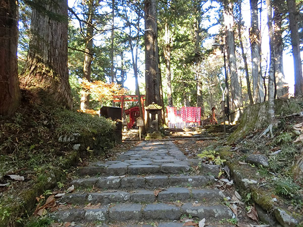 f:id:inudenchi:20210110203458j:plain