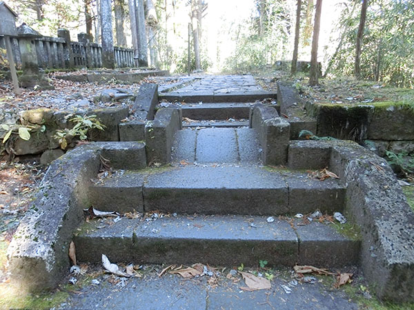 f:id:inudenchi:20210110203711j:plain