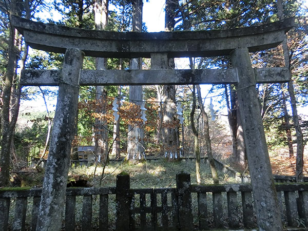 f:id:inudenchi:20210110203732j:plain