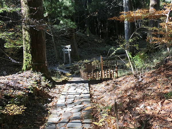 f:id:inudenchi:20210110204320j:plain