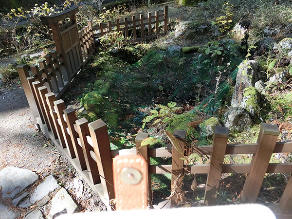 f:id:inudenchi:20210110204343j:plain