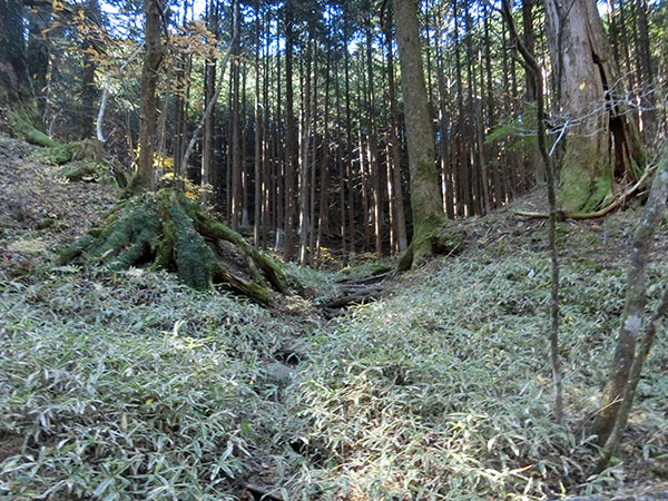 f:id:inudenchi:20210110204510j:plain