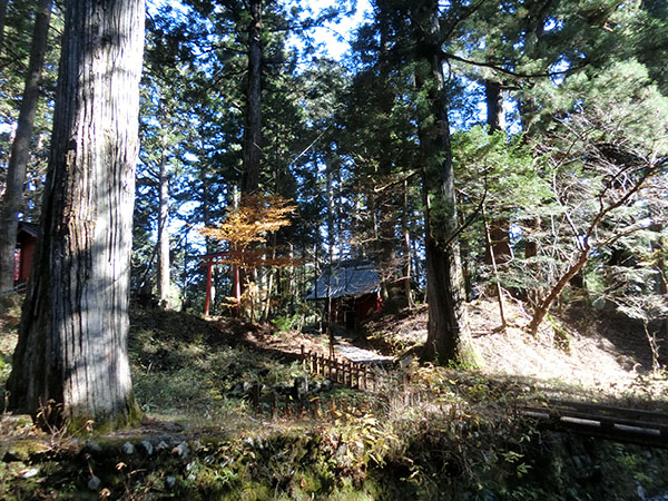 f:id:inudenchi:20210110204524j:plain