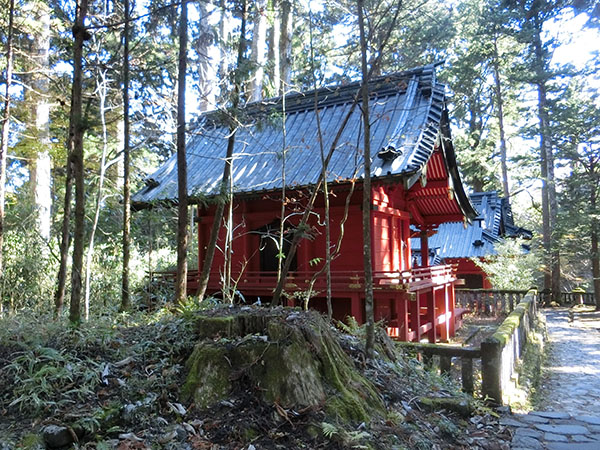 f:id:inudenchi:20210110204546j:plain