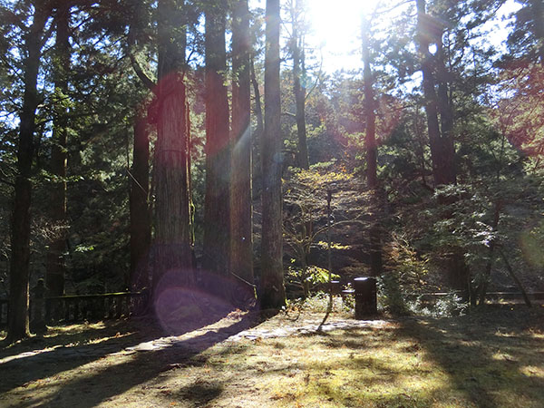 f:id:inudenchi:20210110204611j:plain