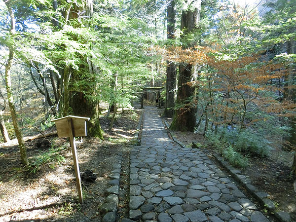 f:id:inudenchi:20210110204643j:plain