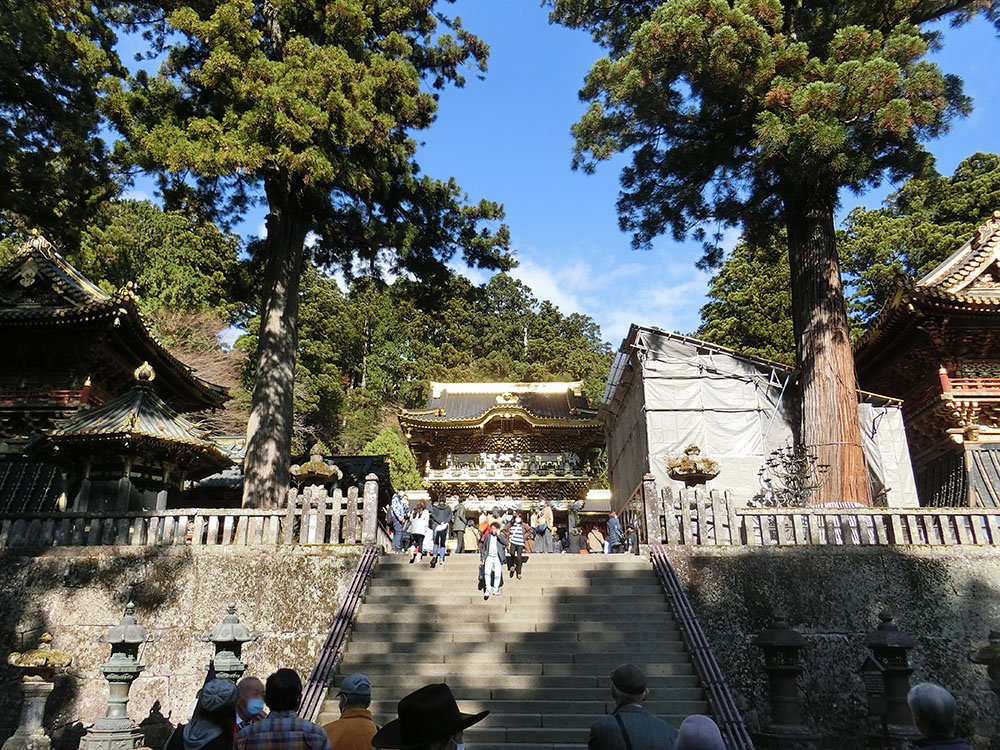f:id:inudenchi:20210216190839j:plain