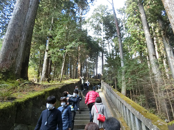 f:id:inudenchi:20210226192207j:plain