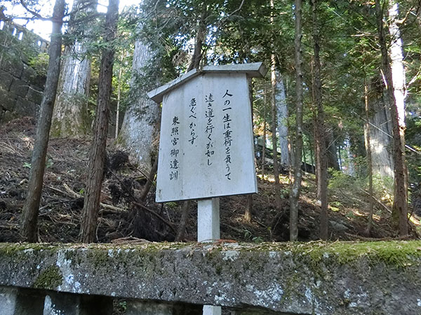 f:id:inudenchi:20210226192232j:plain