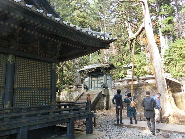 f:id:inudenchi:20210226204435j:plain