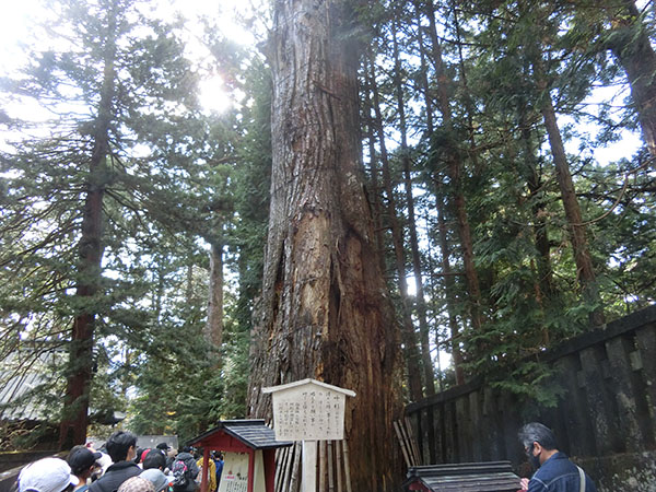 f:id:inudenchi:20210226204842j:plain