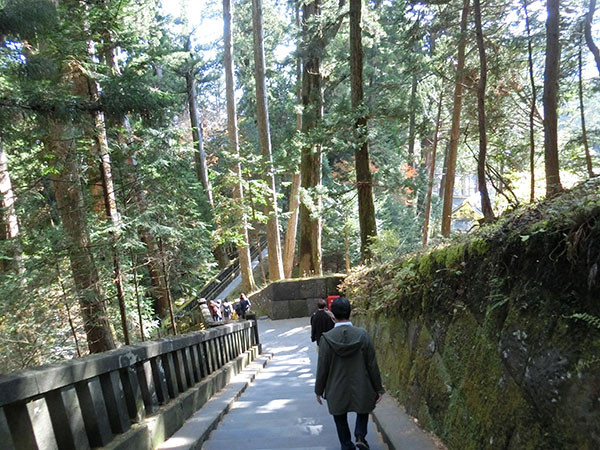 f:id:inudenchi:20210226205133j:plain