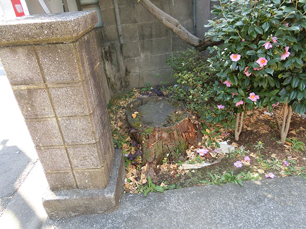f:id:inudenchi:20210409200414j:plain