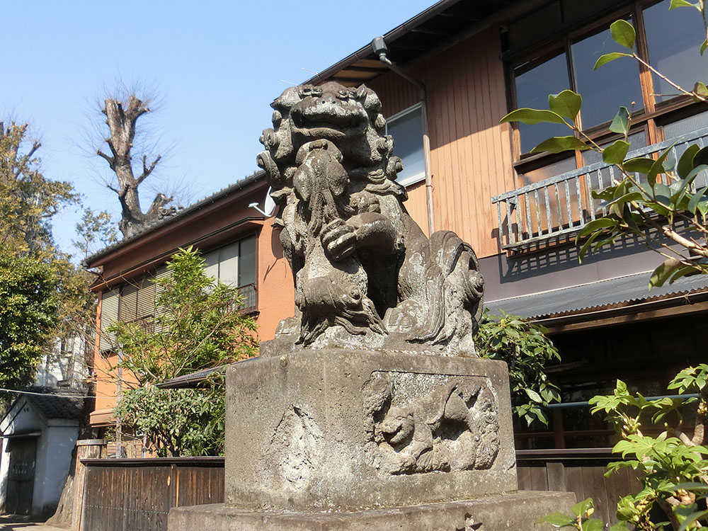 高円寺天祖神社の狛犬