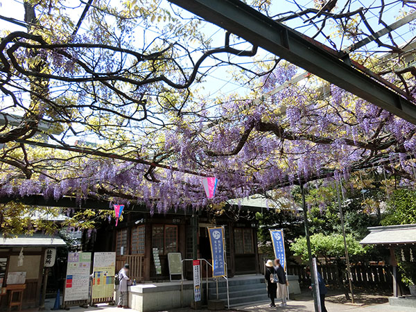 f:id:inudenchi:20210425230409j:plain