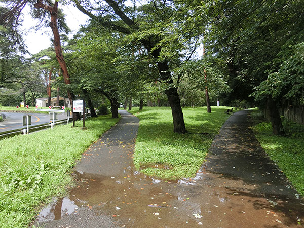 f:id:inudenchi:20210821184837j:plain