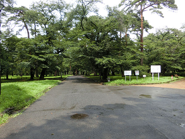 f:id:inudenchi:20210821184930j:plain