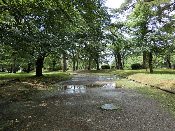 f:id:inudenchi:20210821185011j:plain