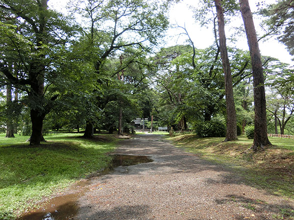 f:id:inudenchi:20210821185025j:plain