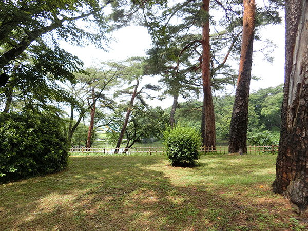 f:id:inudenchi:20210821185042j:plain