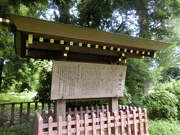 f:id:inudenchi:20210821185221j:plain