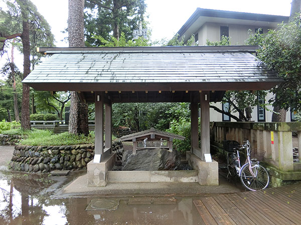 f:id:inudenchi:20210821185530j:plain