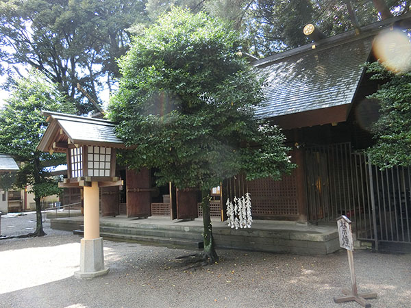 f:id:inudenchi:20210821185940j:plain