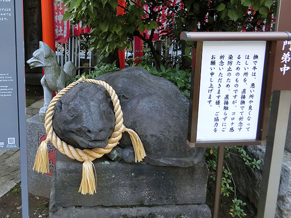 平河天満宮の撫で牛