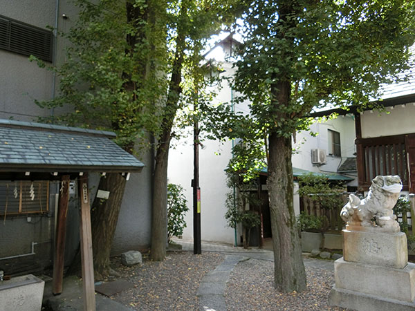 f:id:inudenchi:20211015204440j:plain