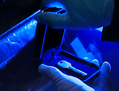 f:id:inudenchi:20211021012656j:plain